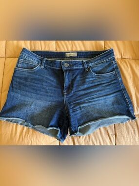 Kut from the Kloth Dark Blue Denim Jean Shorts